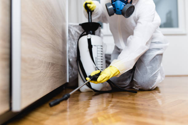 Best Pest Removal Services  in Difficult Run, VA